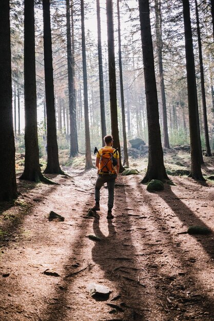 Foto gente sulla strada in mezzo agli alberi della foresta