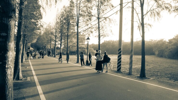फोटो people on road amidst trees