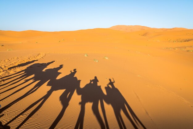 Foto gente su una duna di sabbia nel deserto contro il cielo