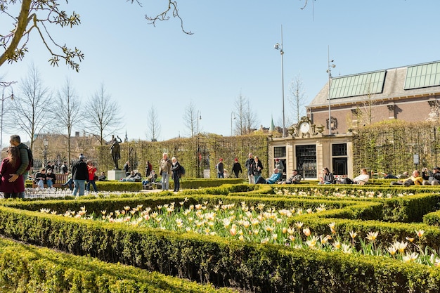 Photo people sitting in a park with tulips in the foreground