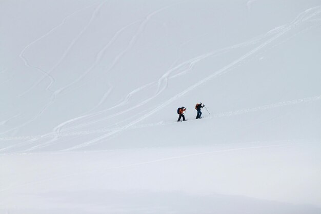 사진 겨울 에 산 에서 스키 를 타는 사람 들