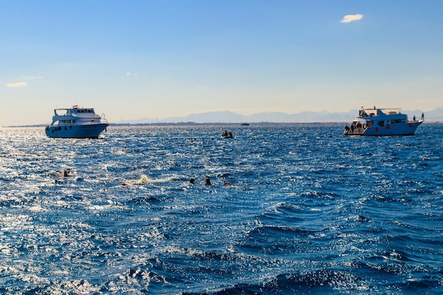 People snorkeling over the coral reef in the Red Sea