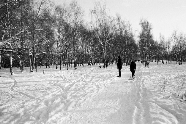 People on snow covered field