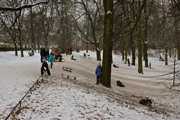 People on snow covered trees during winter