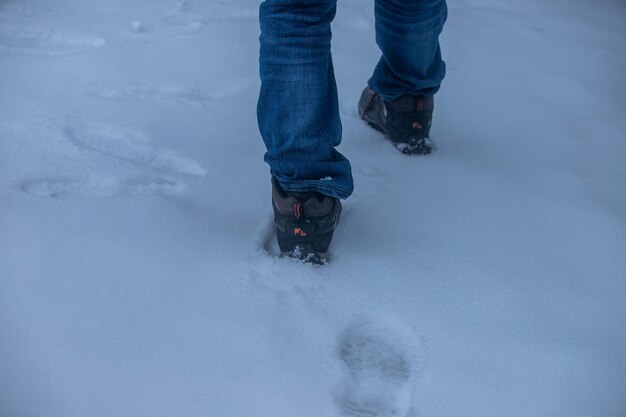 雪が降る人々