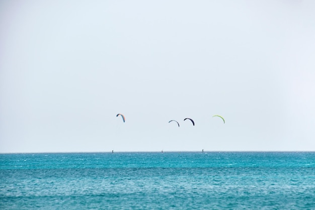 People sportsmen windsurfing and kite surfing in blue ocean water Summer extreme exotic sport concept