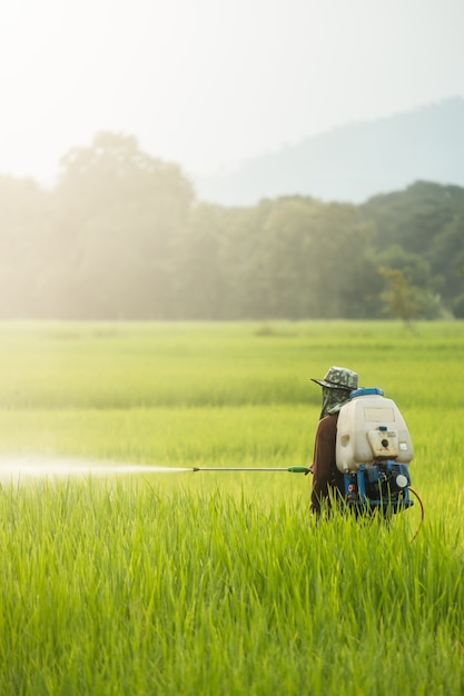 People spraying pesticides in farm with copy space.