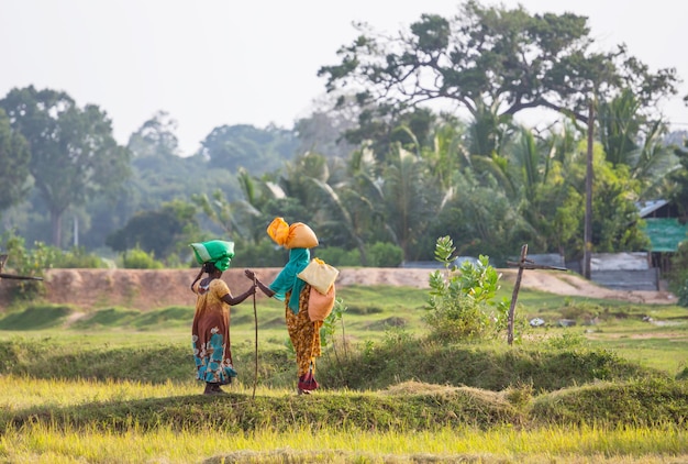 People on Sri Lanka