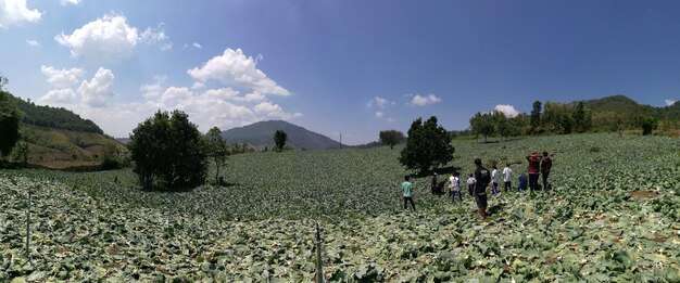 People standing on agricultural field against blue sky