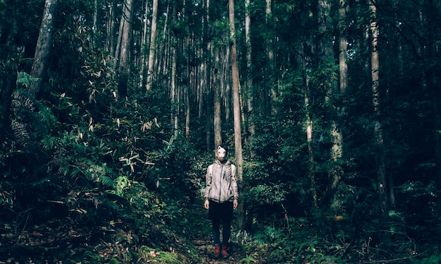 People standing in forest