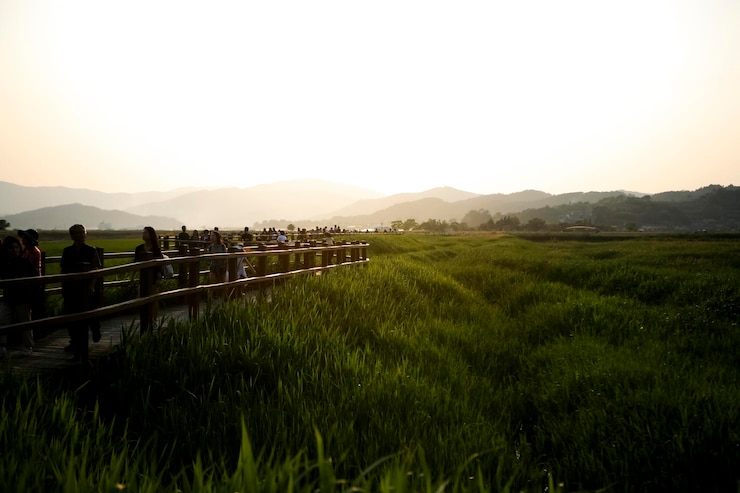 Photo 하늘을 배경으로 선천 만에 있는 사람들