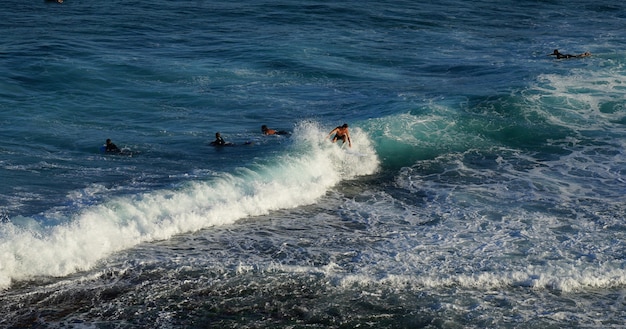 Photo people surfing in ocean