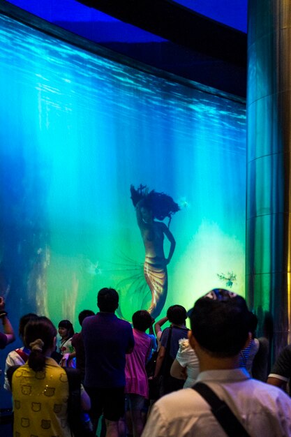 Foto persone che nuotano in acquario