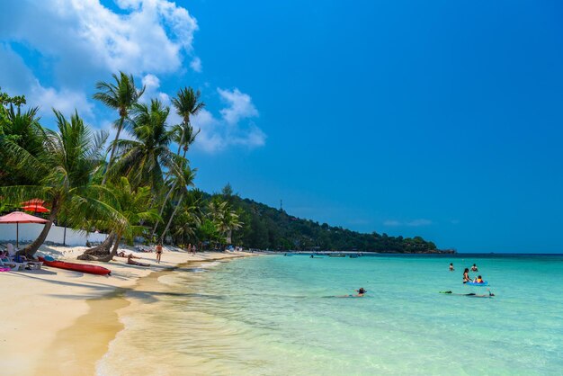 People swimming on Haad Yao beach Koh Phangan island Suratthan