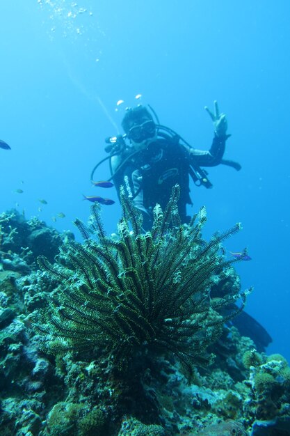 写真 海で泳ぐ人々