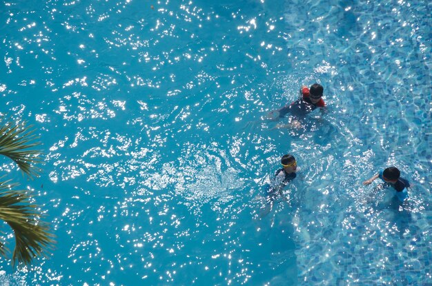 写真 水の中を泳ぐ人々