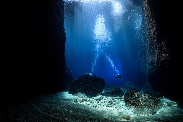 People swimming in sea