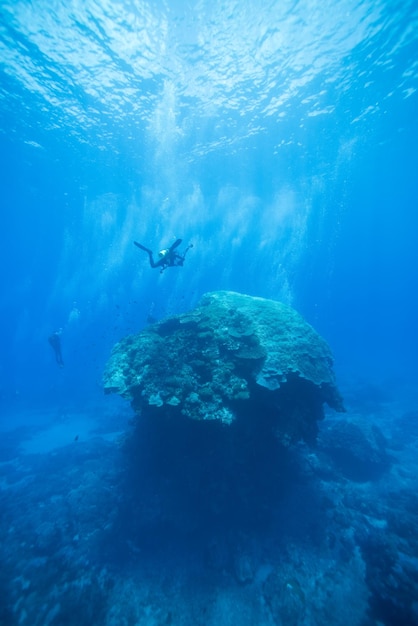 Люди плавают в море.