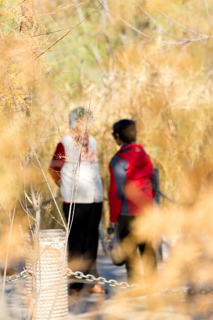 Foto gente che parla in piedi sulla strada contro gli alberi