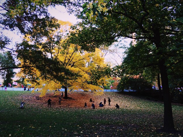 Foto persone sotto gli alberi nel central park durante l'autunno