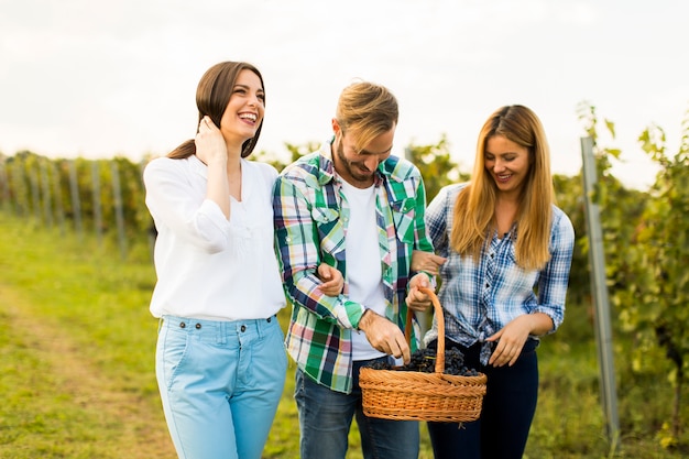 People in vineyard