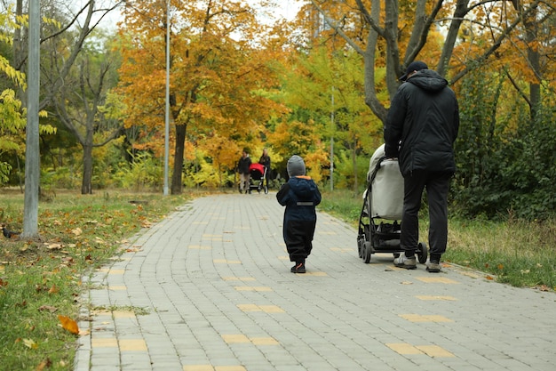 人々は秋の季節に公園を歩きます