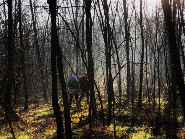Foto persone che camminano tra gli alberi della foresta