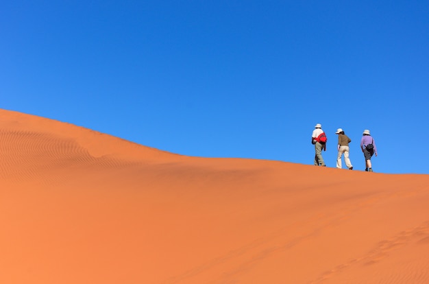 Namib 사막의 아름다운 모래 언덕을 걷고, 남아프리카에서 여행과 하이킹을하는 사람들