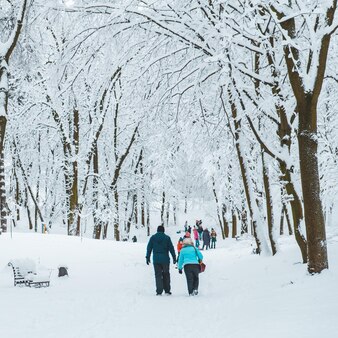 La gente che cammina dal parco cittadino coperto di neve. bellezza della natura