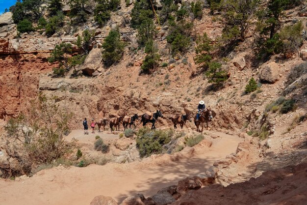 Photo people walking in desert