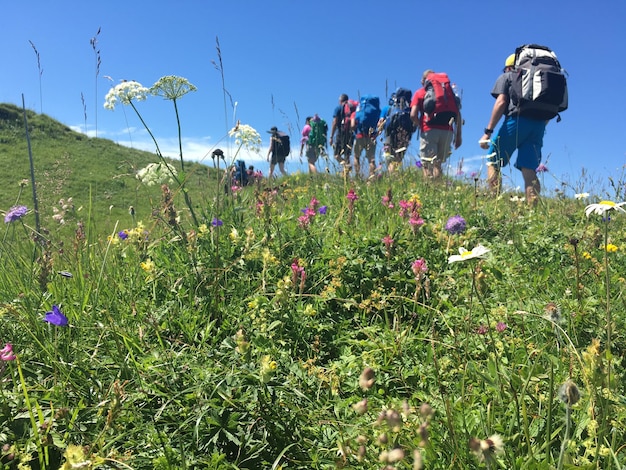 Foto gente che cammina sul campo contro un cielo limpido