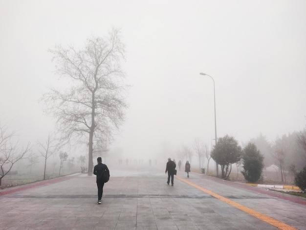 People walking in the fog.