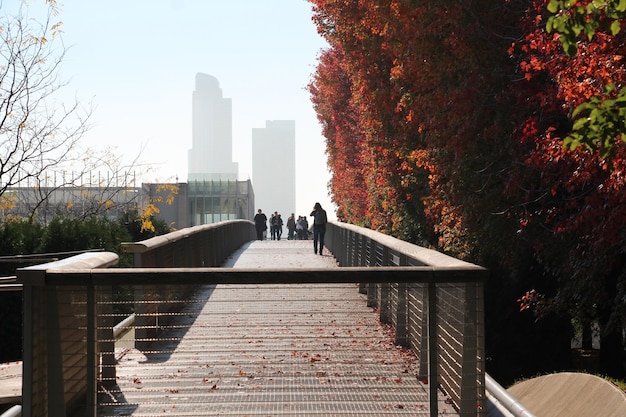 people walking on footbridge against buildings during autumn