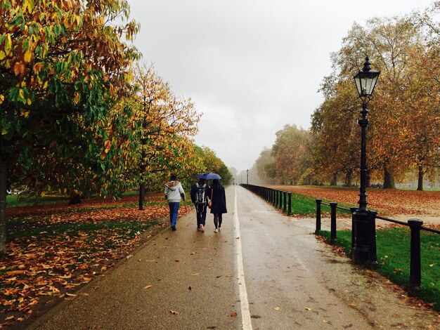 People walking on footpath