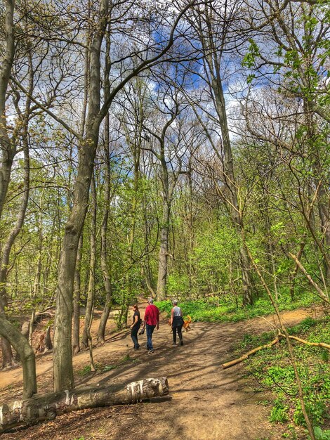 Foto gente che cammina nella foresta con il cane