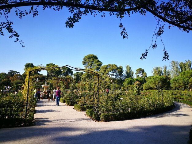 People walking in garden