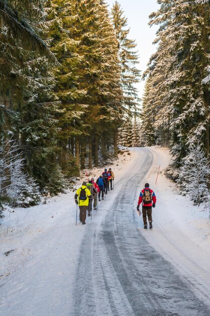 Photo people walking at a icy forest road in the winter