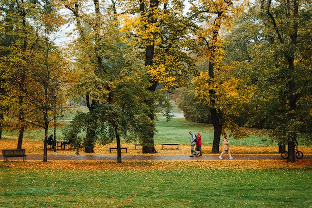 La gente che cammina nel parco letna nella stagione autunnale, praga, repubblica ceca