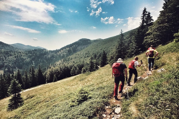 Foto gente che cammina sulla strada di montagna nella foresta