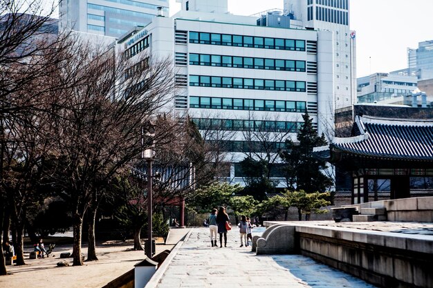 写真 街を歩く人々