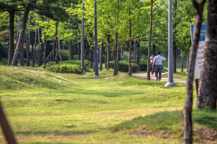 Photo 공원에서 산책하는 사람들
