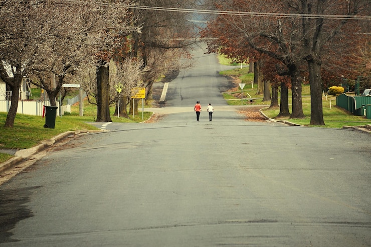 फोटो people walking on road along trees