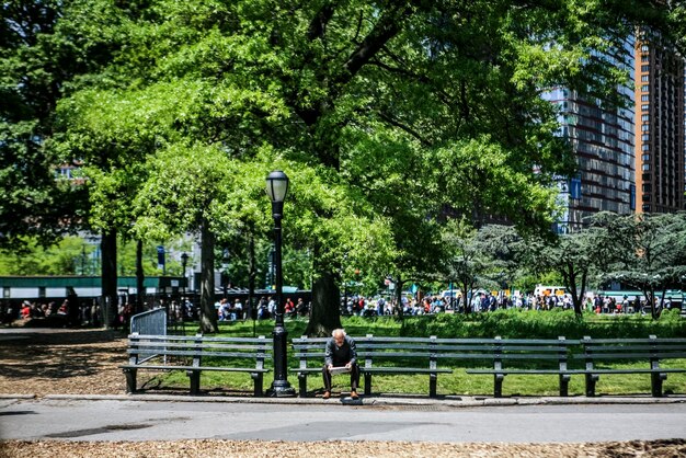 People walking on road in park