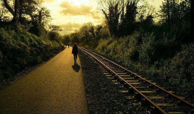 People walking on road