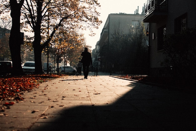 People walking on street in city during sunset