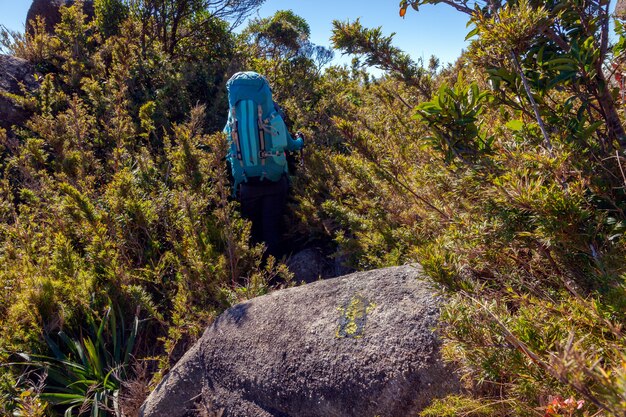 La gente che cammina con grandi zaini nel paesaggio montano - trekking escursionismo mountaneering in mantiqueira gamma brasile