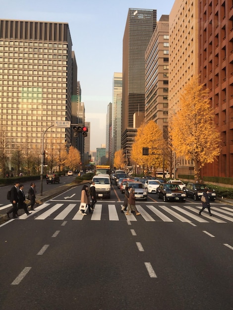 People walking on zebra crossing at street in city