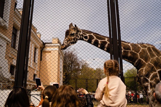 Persone che guardano una giraffa nella vista dello zoo dal retro