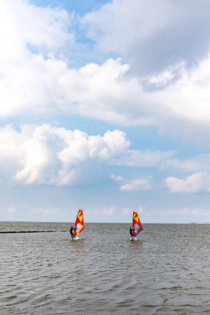 Photo people windsurfing in sea against sky