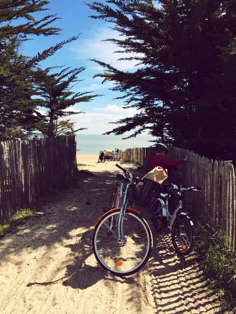 Photo people with bicycles by fence at beach